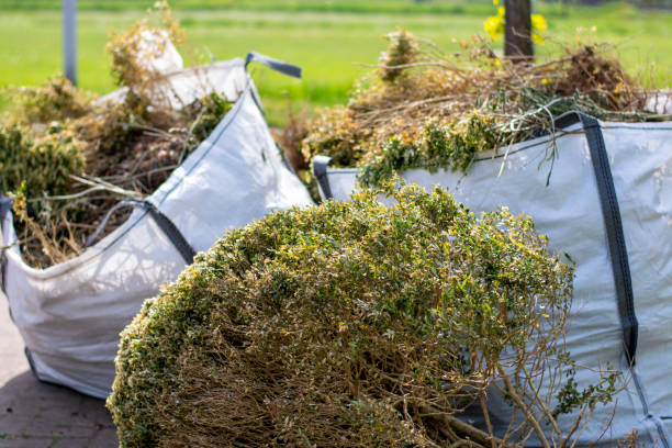 Best Yard Waste Removal  in Salem, MO